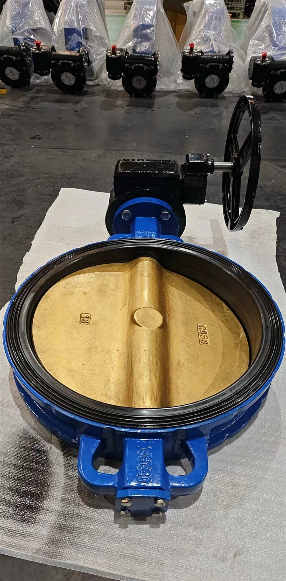 Concentric Butterfly Valve