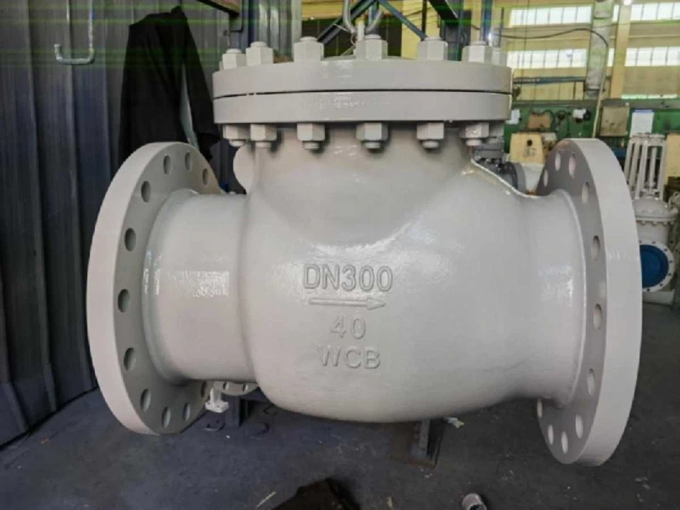 Swing Type Check Valve